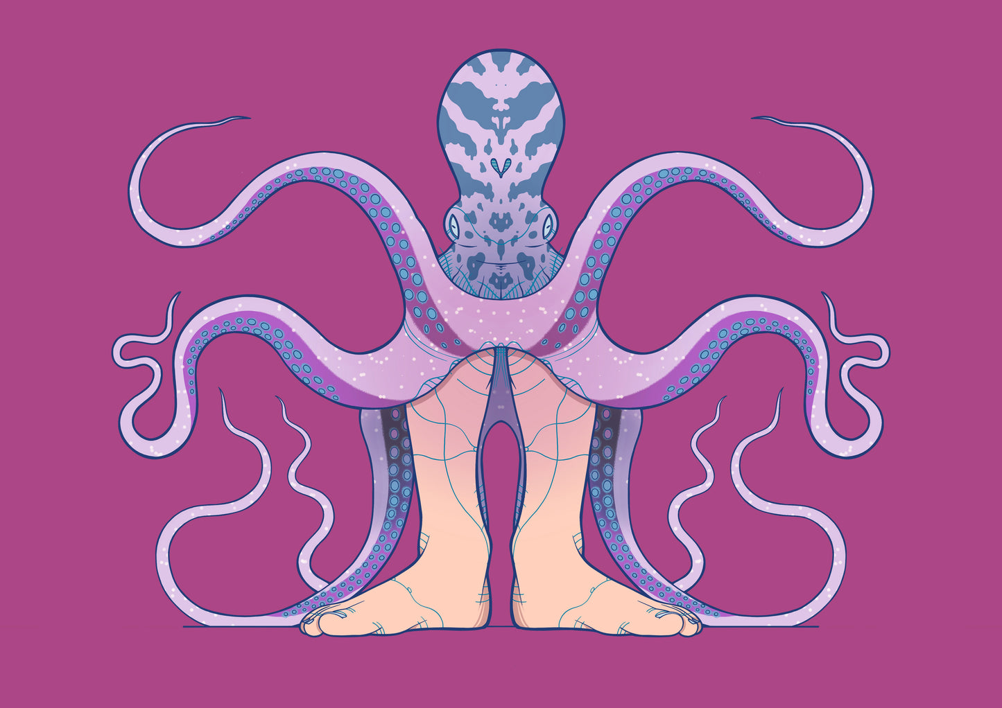 Octopus